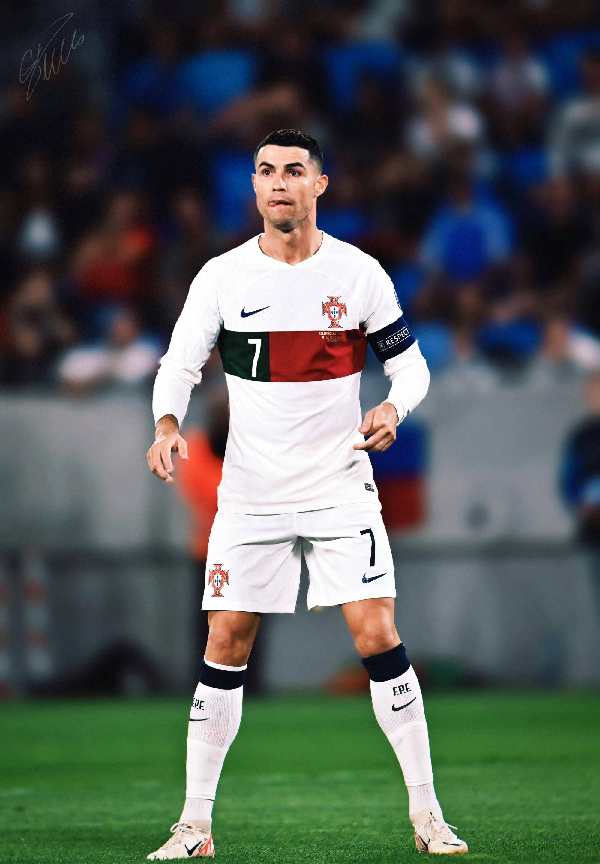 C罗新星势不可挡表现惊艳，公牛未来可期！的简单介绍